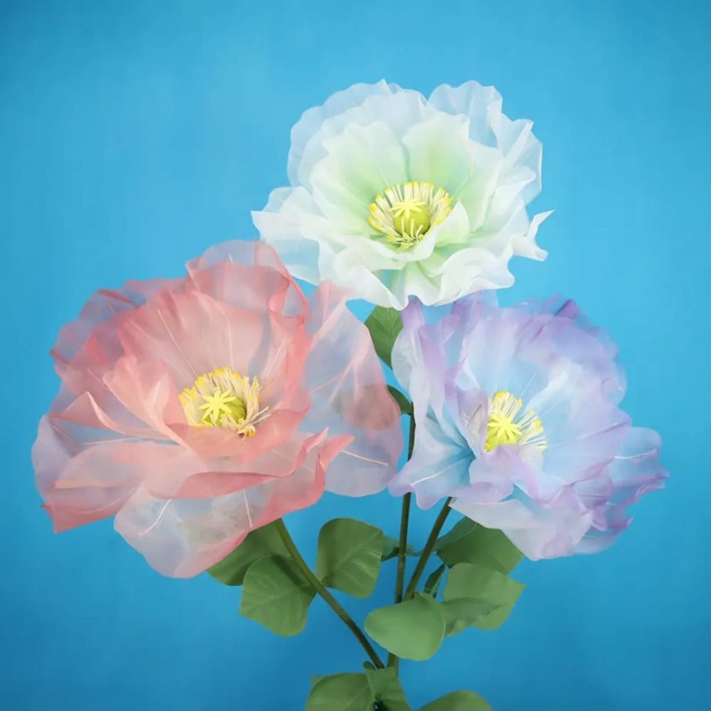 whatsapp image 2025 10 23 at 7.36.33 am