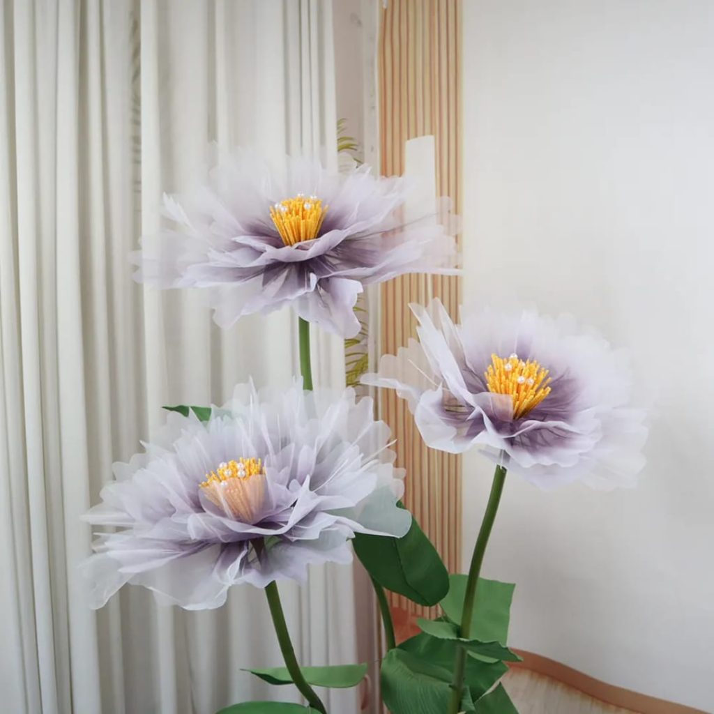 whatsapp image 2025 10 23 at 7.36.34 am