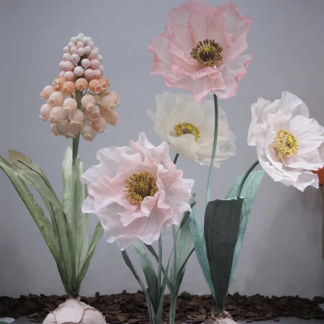 whatsapp image 2025 10 23 at 7.36.35 am