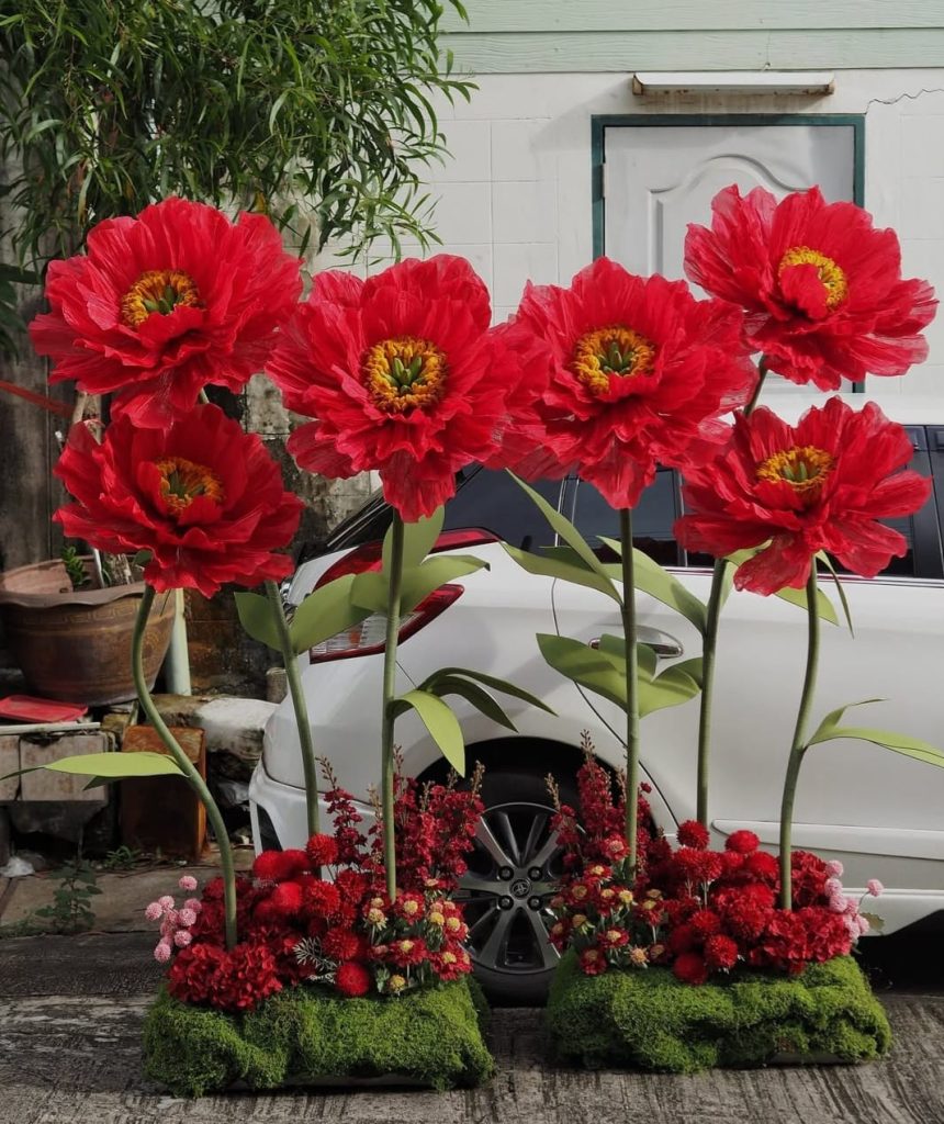 whatsapp image 2025 10 23 at 7.51.07 am