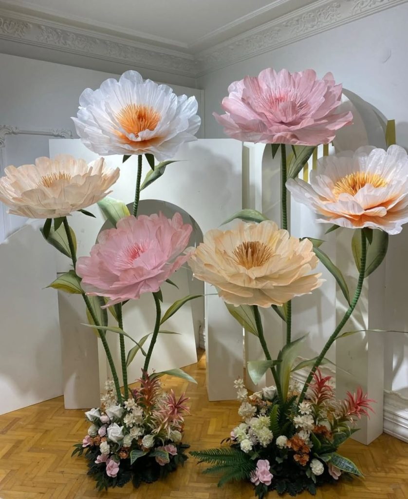 whatsapp image 2025 10 23 at 7.51.27 am