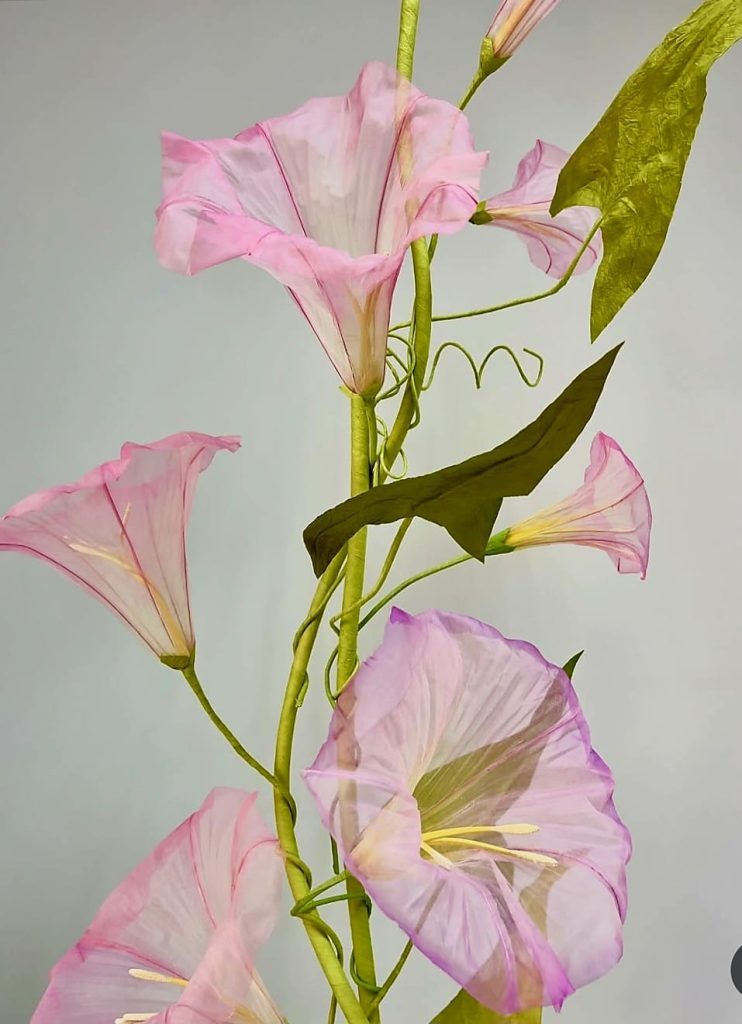 whatsapp image 2025 10 23 at 7.53.45 am