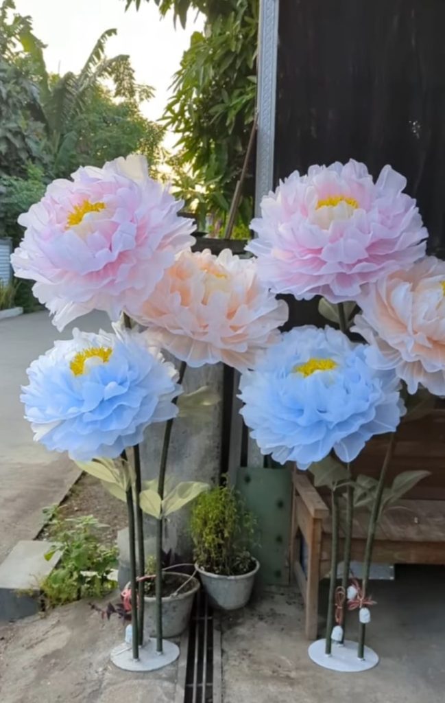 whatsapp image 2025 10 23 at 7.57.21 am