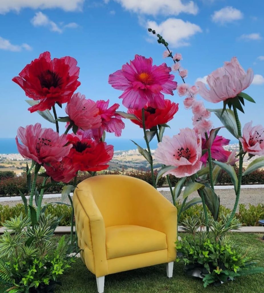 whatsapp image 2025 10 26 at 8.22.01 am